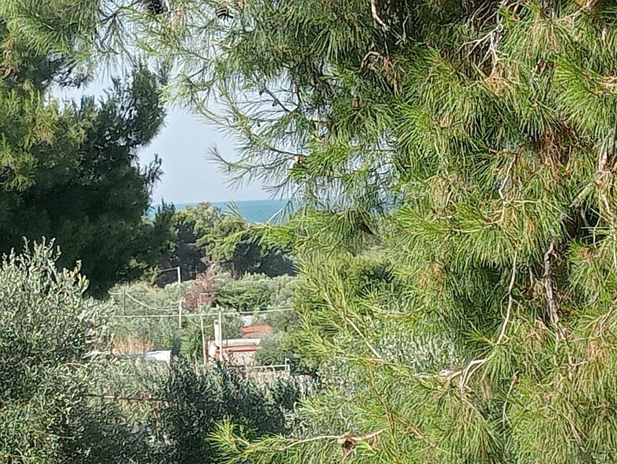 Residence Dolce Far Niente Vieste Bagian luar foto